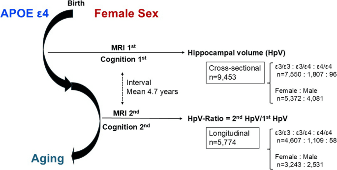Figure 1 from Neuroradiology