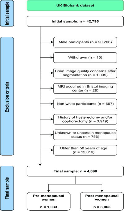 Figure 1 from Brain Structure & Function