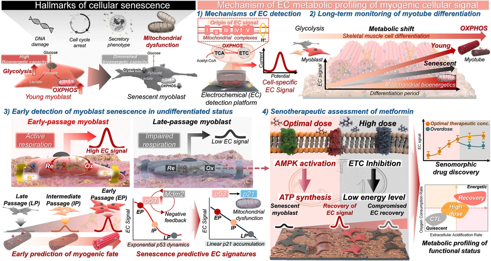 Figure 1 from Biosensors & Bioelectronics