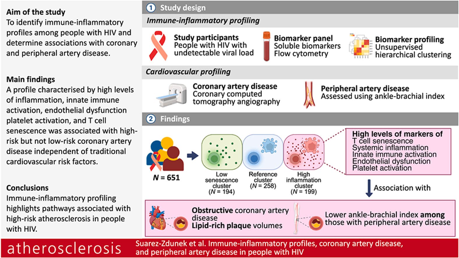 Graphical abstract from Atherosclerosis