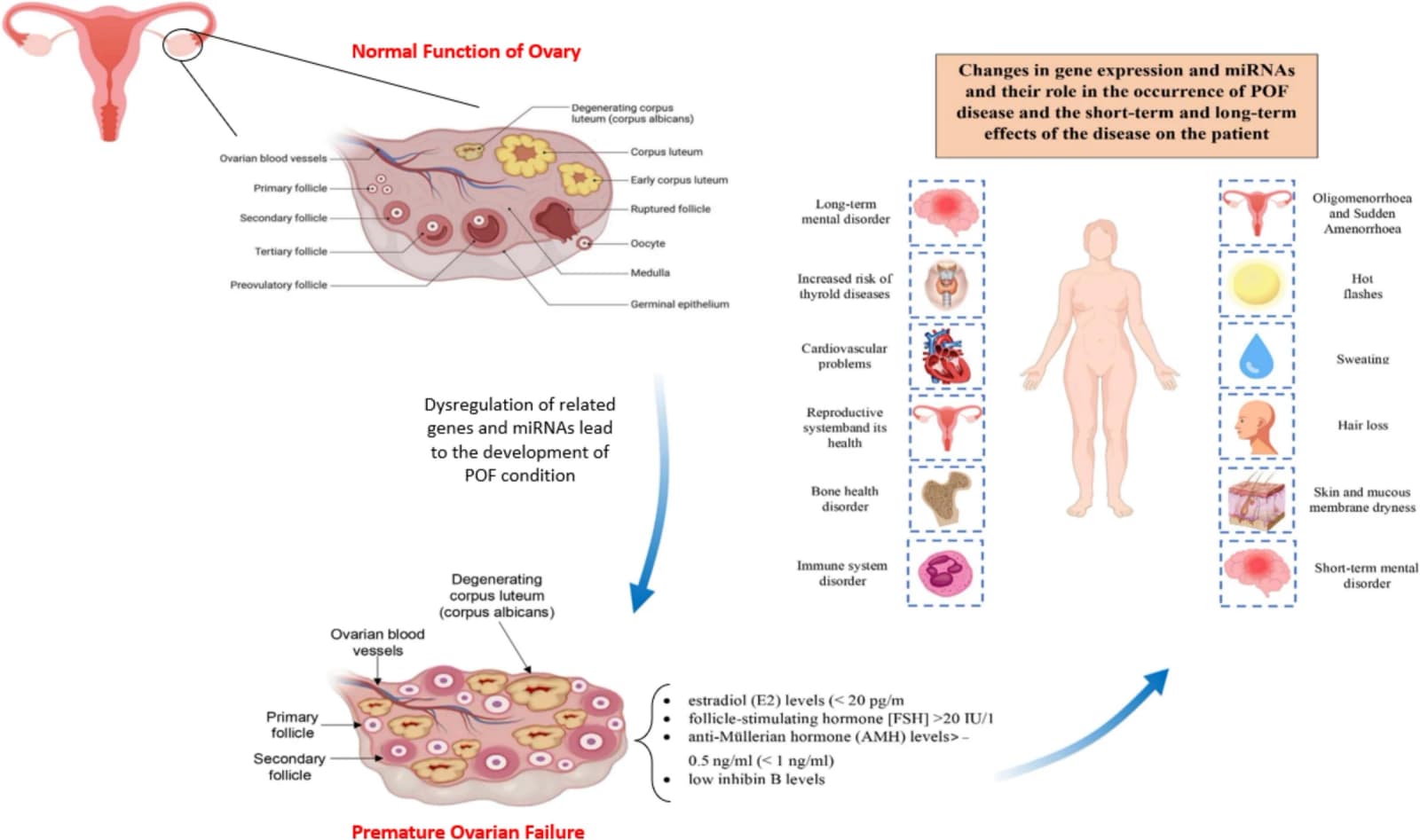 Figure 1 from Life Sciences