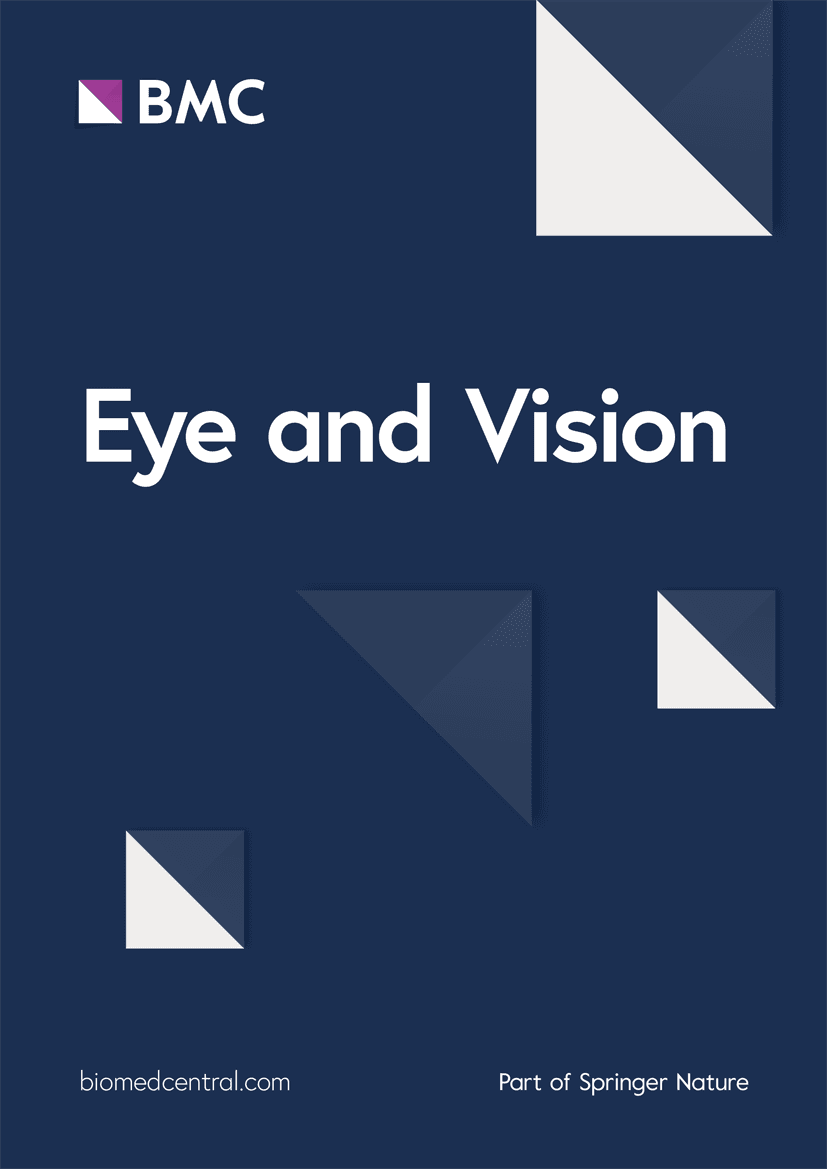 Figure from Eye and Vision