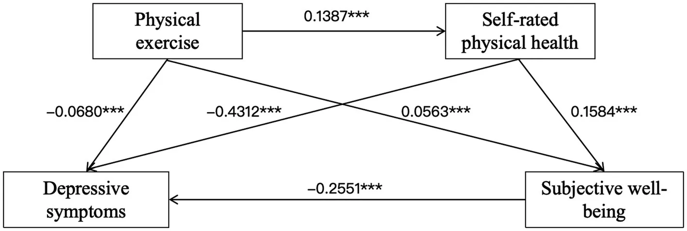 Figure 1. Potential serial mediation pathway linking physical exercise, self-rated physical health, subjective wellbeing, and depressive symptoms among older adults.