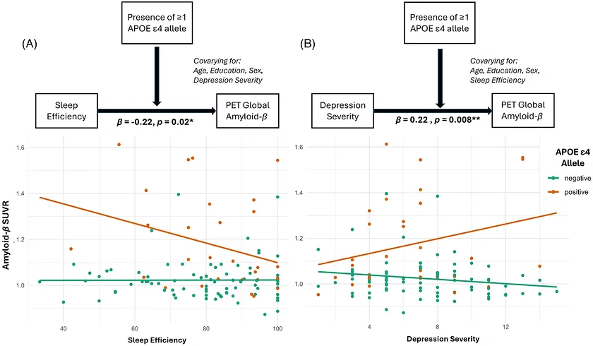 Figure 1. Individual moderation effects of APOE ɛ4 status by sleep efficiency and depression, regressed on PET global Aβ.