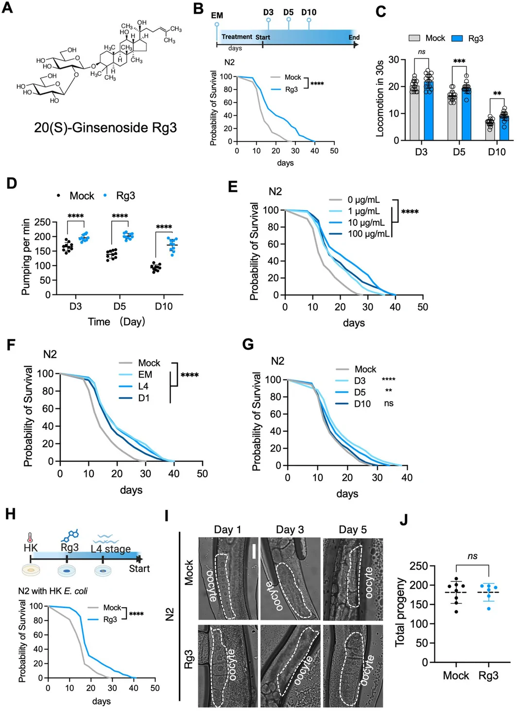 Figure 1. Rg3 extends lifespan and preserves physiological function during aging in Caenorhabditis elegans .
