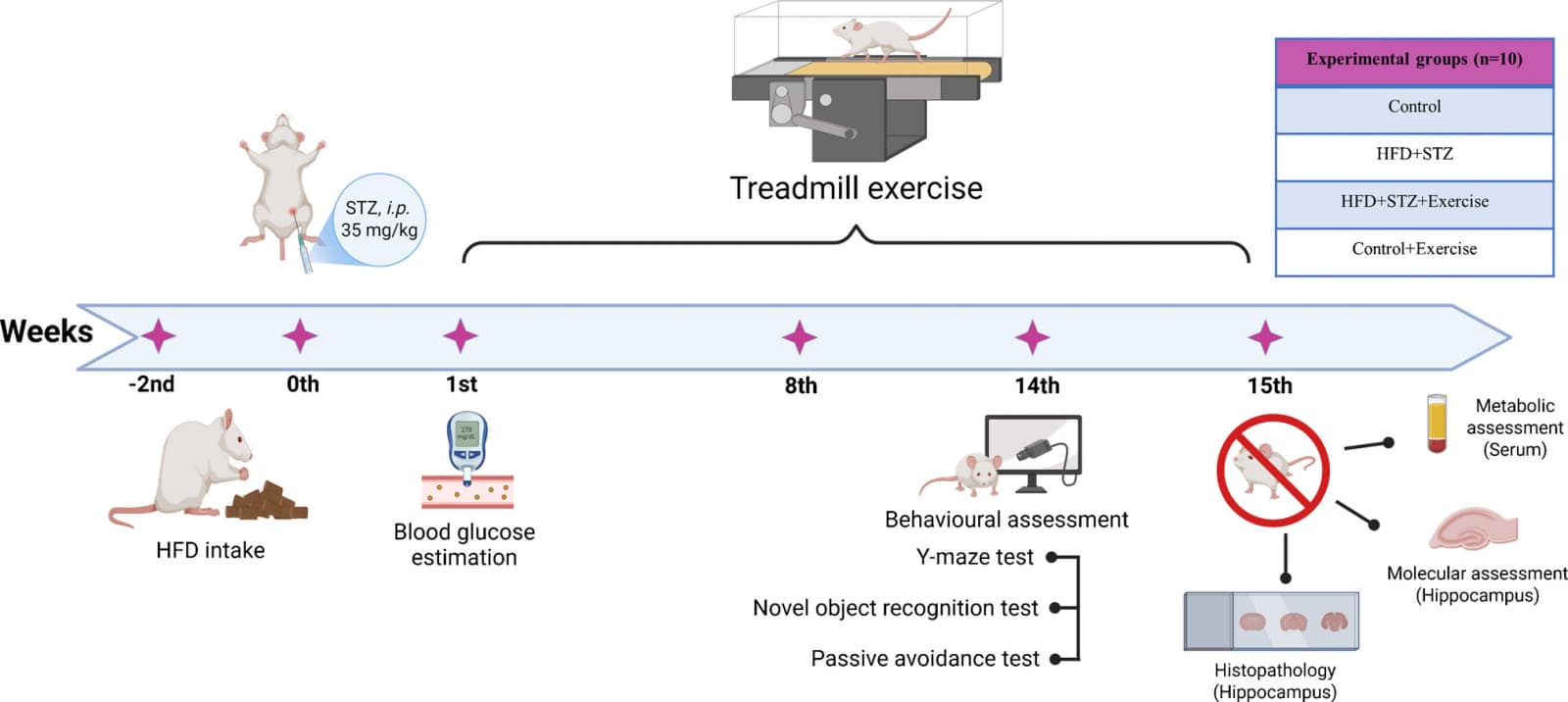 Figure 1 from Pflugers Archiv