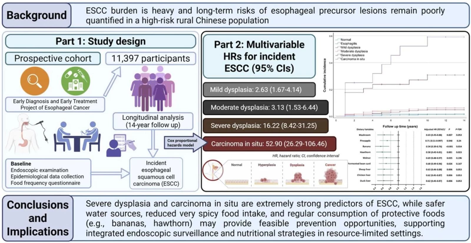 Graphical abstract from Cancer Epidemiology