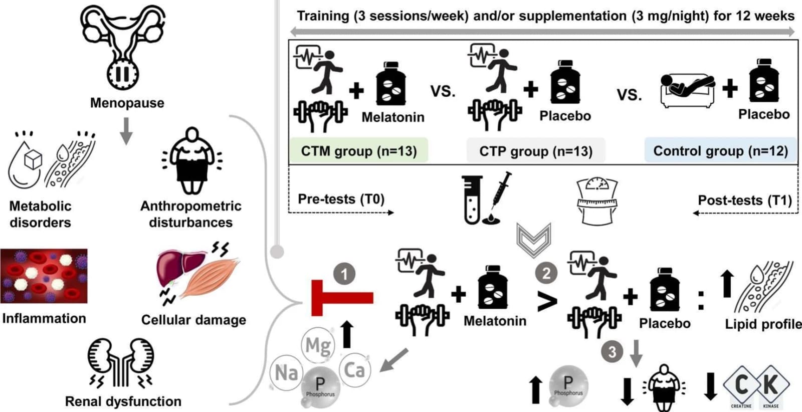 Graphical abstract from Experimental Gerontology