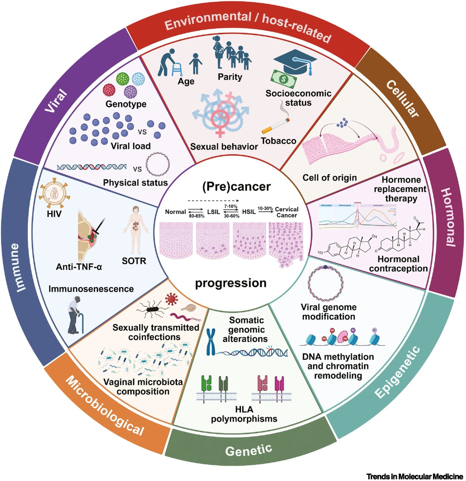 Figure 1 from Trends in Molecular Medicine