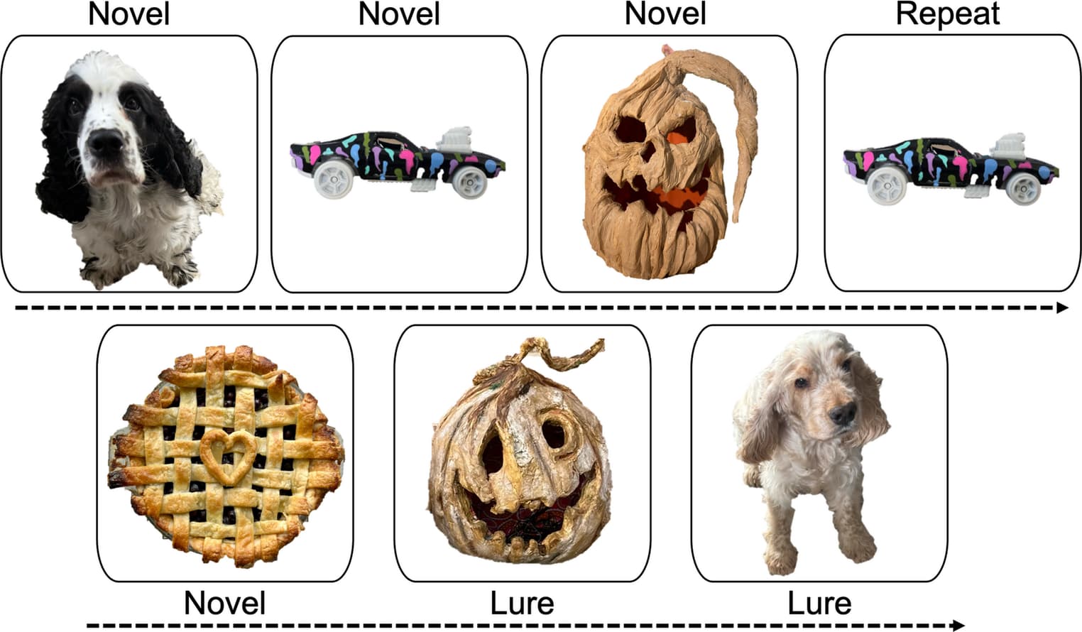 Figure 1 from Brain Imaging and Behavior