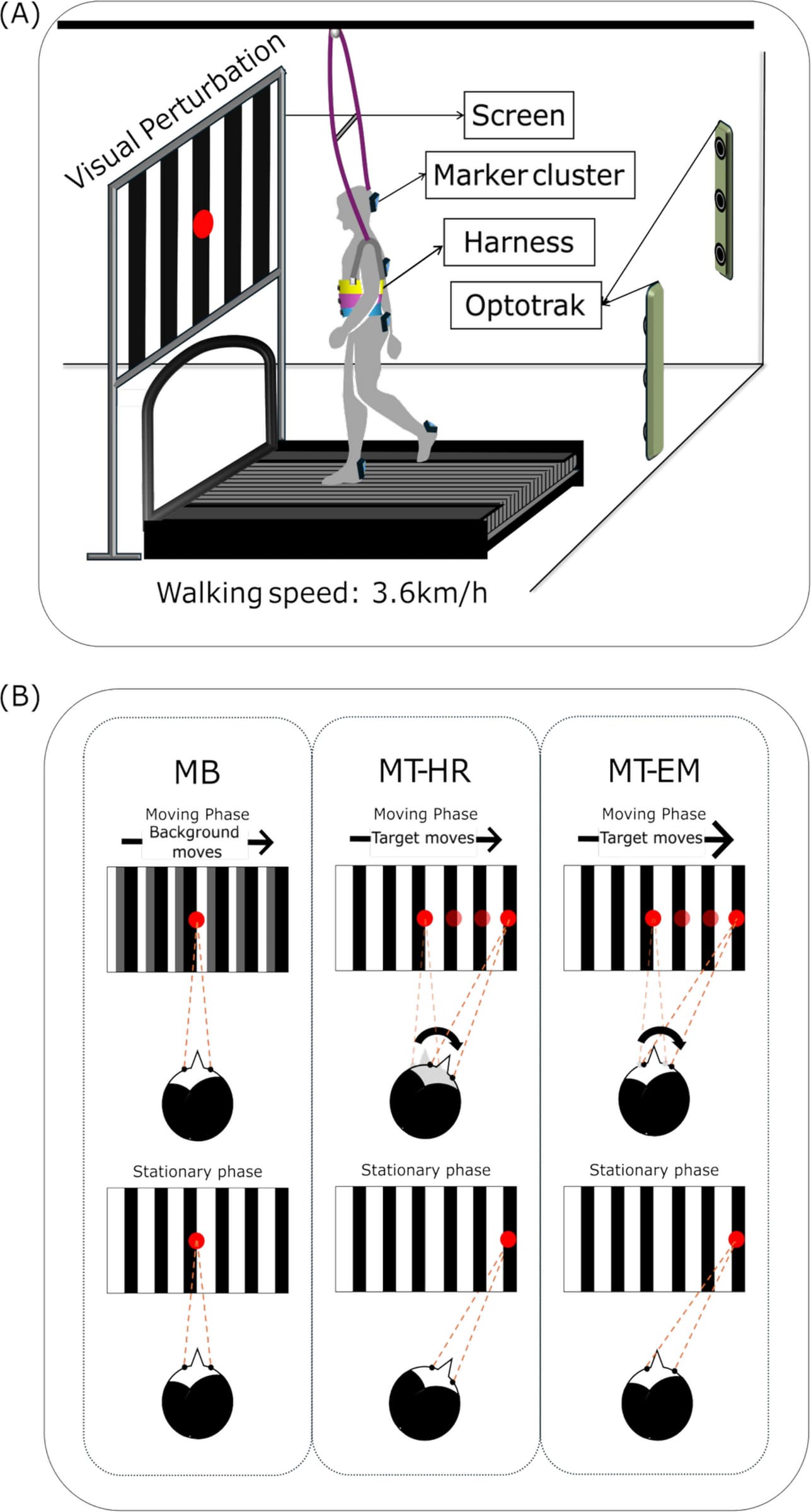 Figure 1 from GeroScience