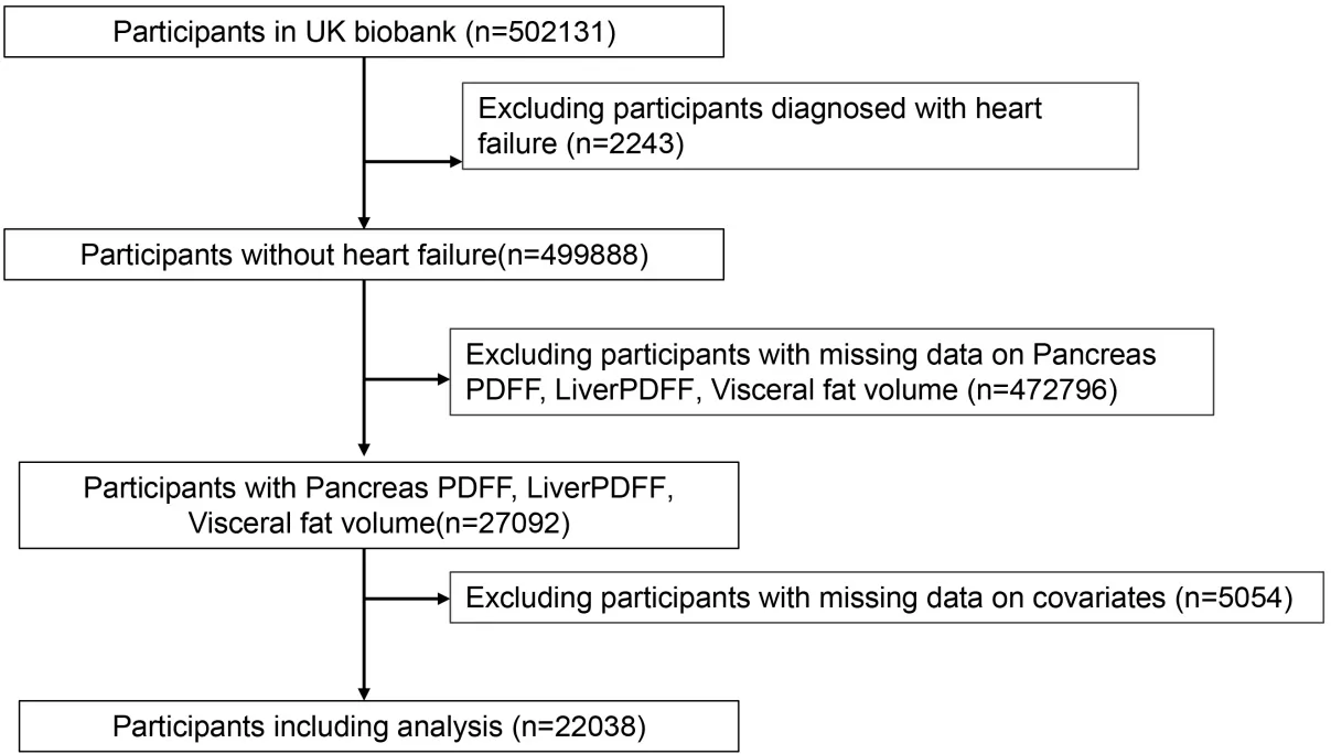 Fig. 1. Participant selection flowchart.