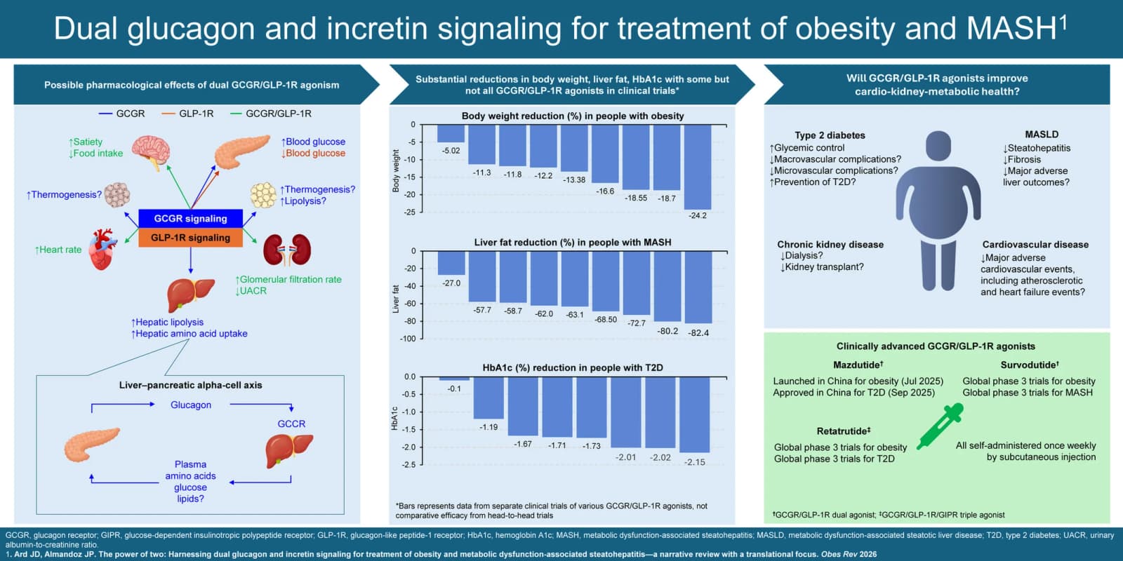 Graphical abstract from Obesity Reviews