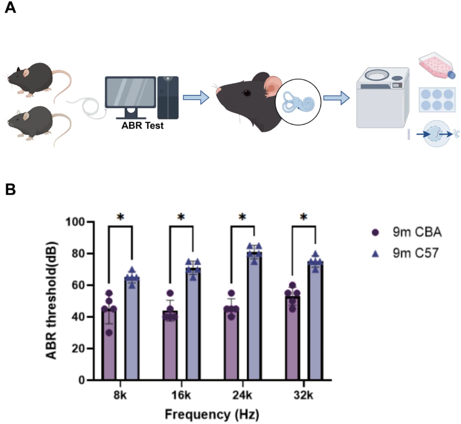 Figure 1 from Journal of Cellular and Molecular Medicine