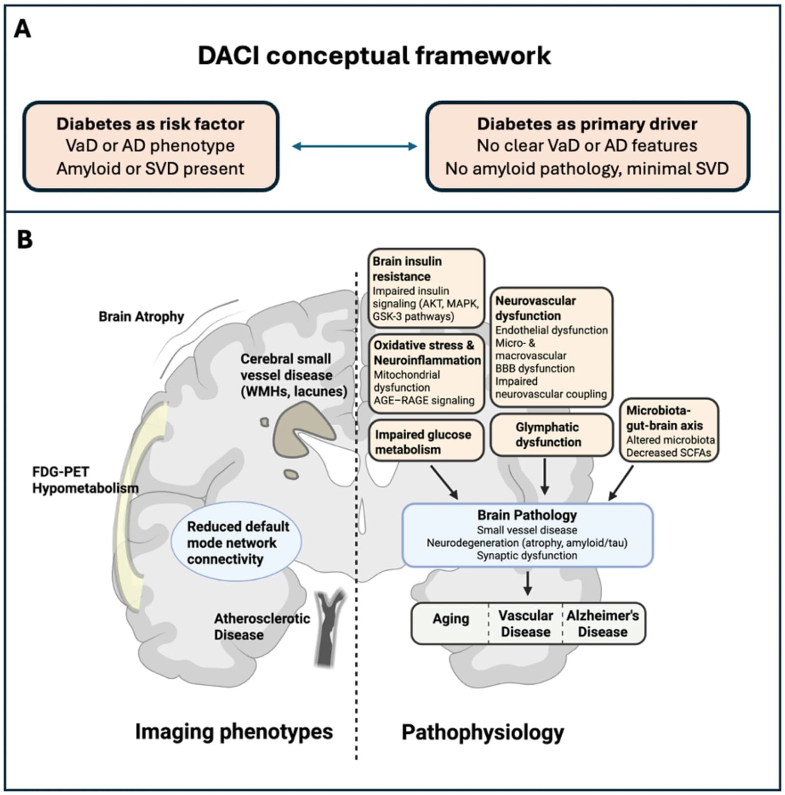 Figure 1 from Annals of Clinical and Translational Neurology