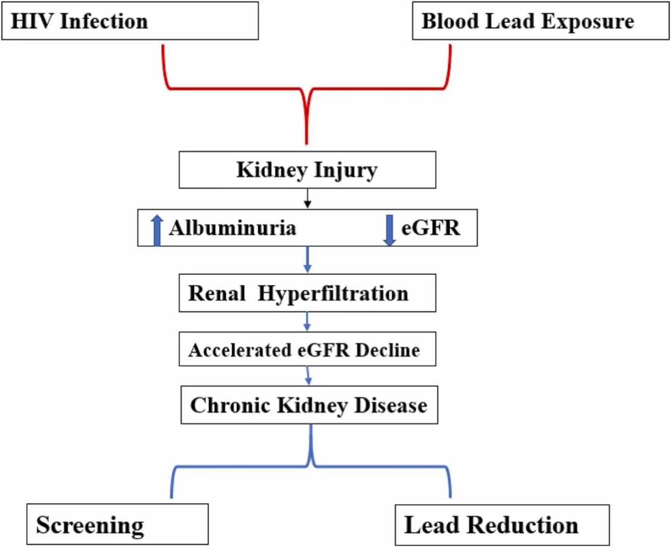 Graphical abstract from Toxicology Reports