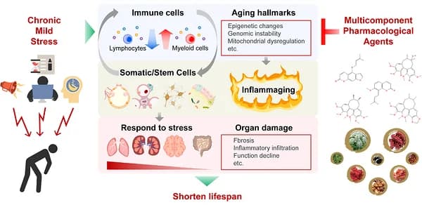 Graphical abstract from Exploration