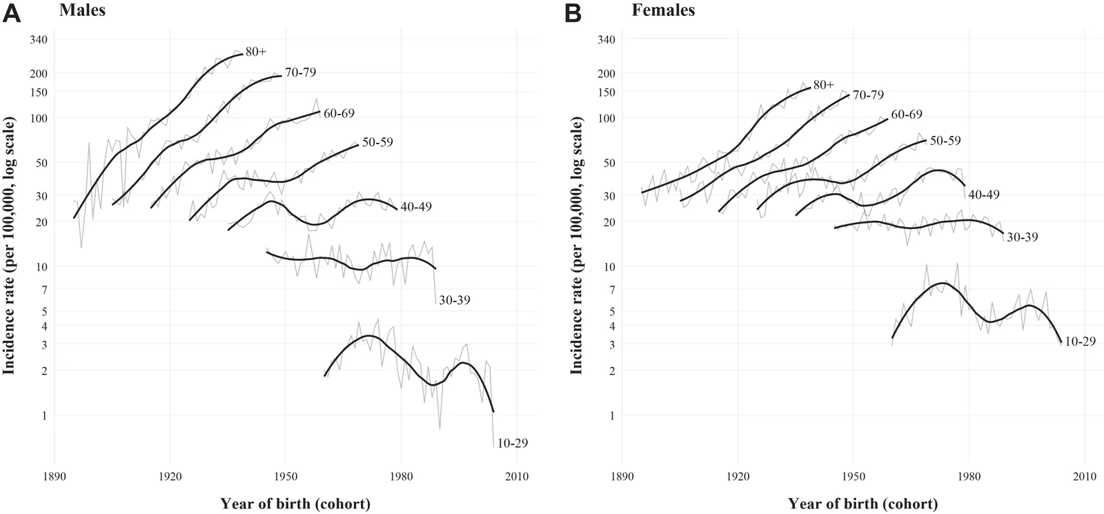 Fig. 1. Birth-cohort analysis of melanoma incidence in Norway, by age group and sex, during 1980–2024.
