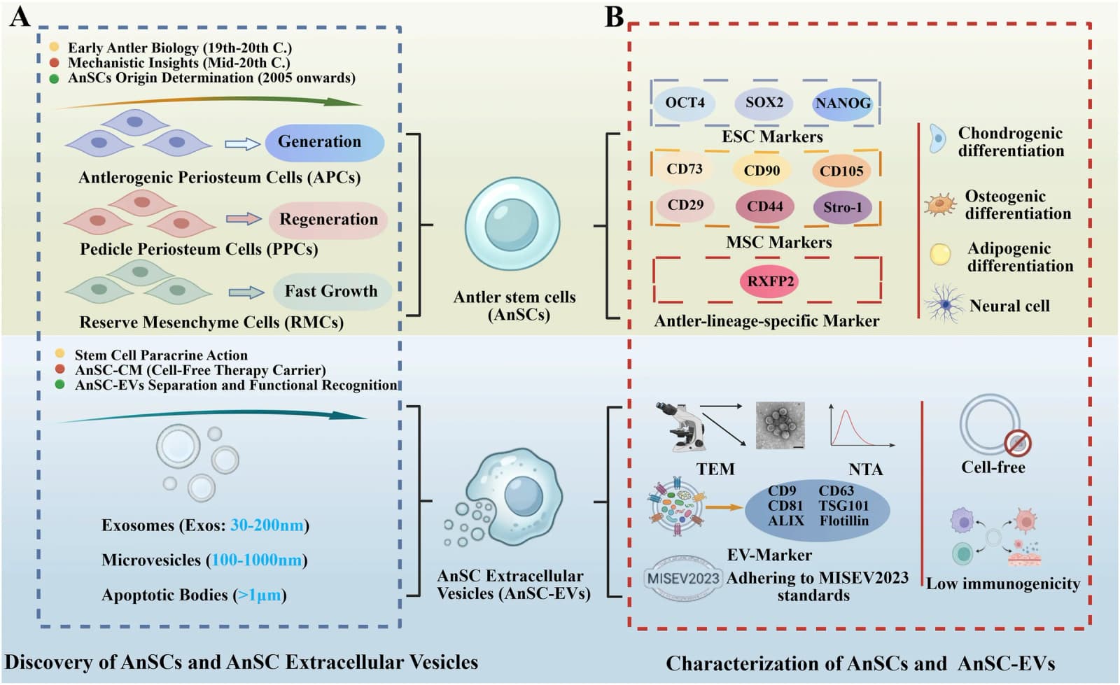 Figure 1 from Cell Transplantation