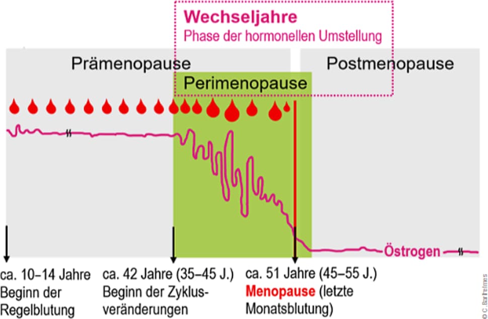 Figure 1 from Wiener Klinische Wochenschrift