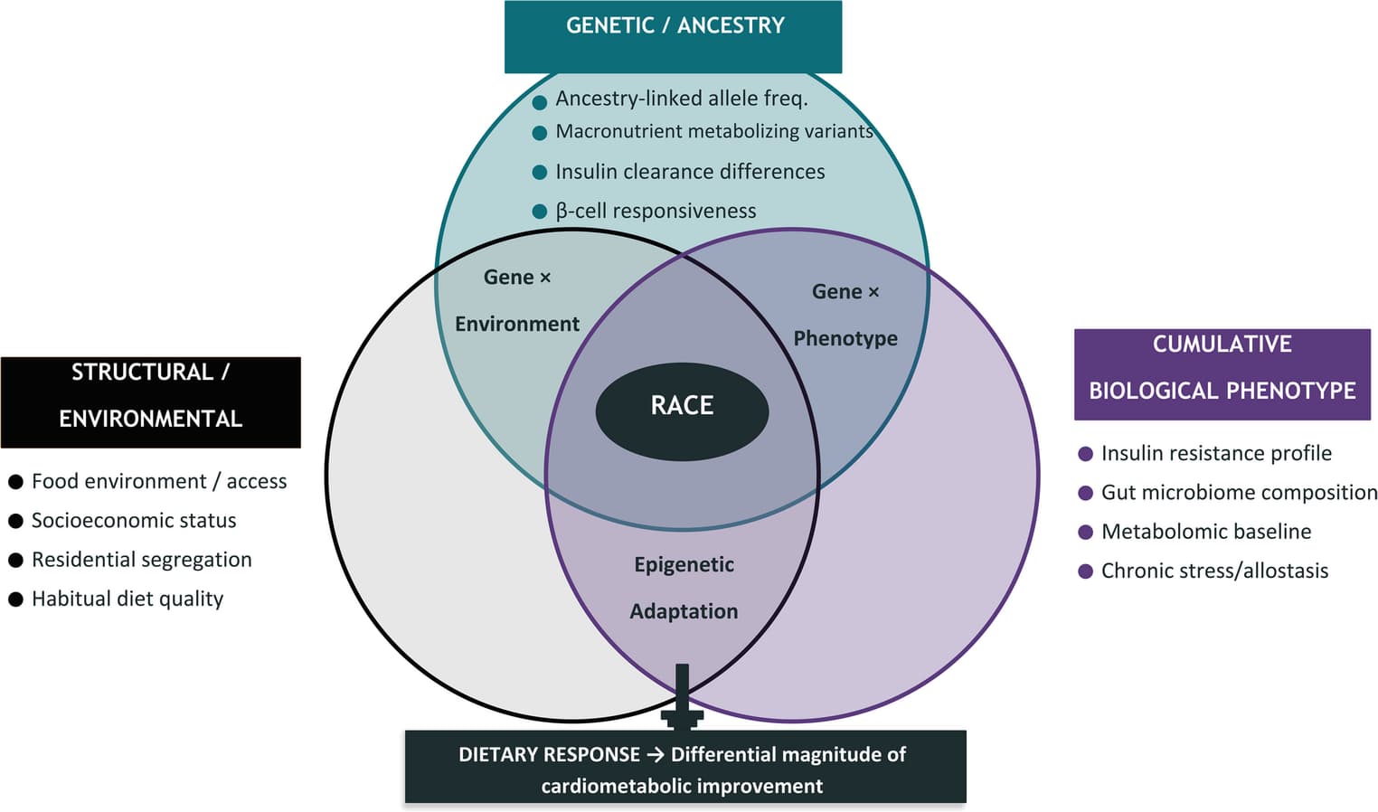 Figure 1 from Current Nutrition Reports