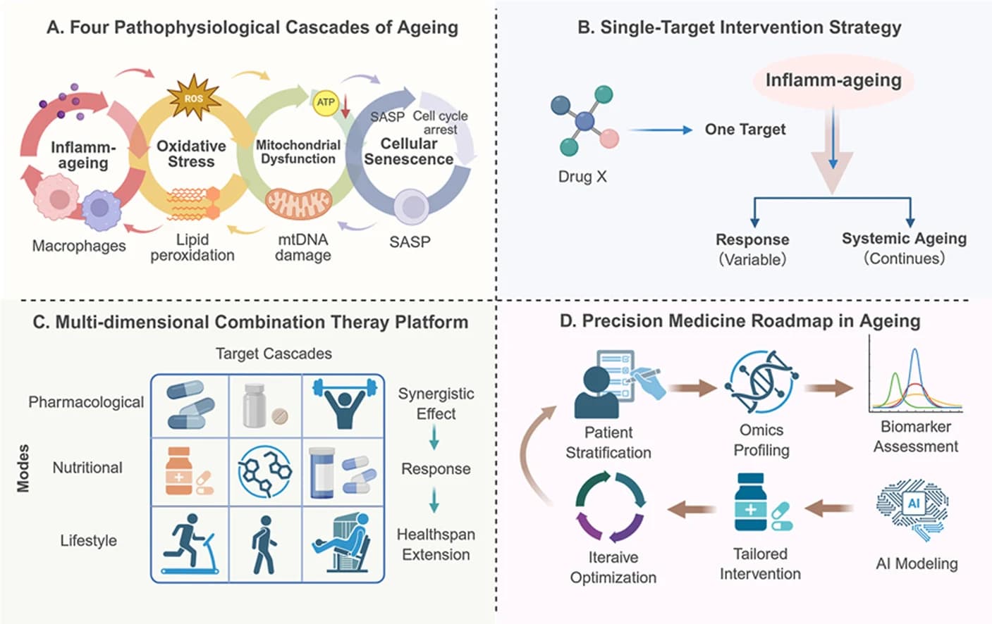 Graphical abstract from Neurotherapeutics