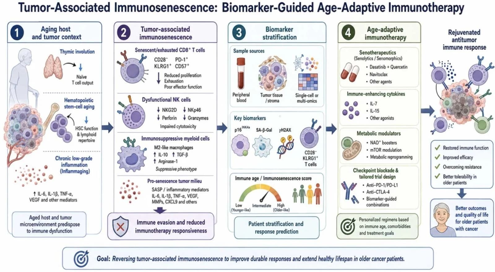 Graphical abstract from Critical Reviews in Oncology/hematology