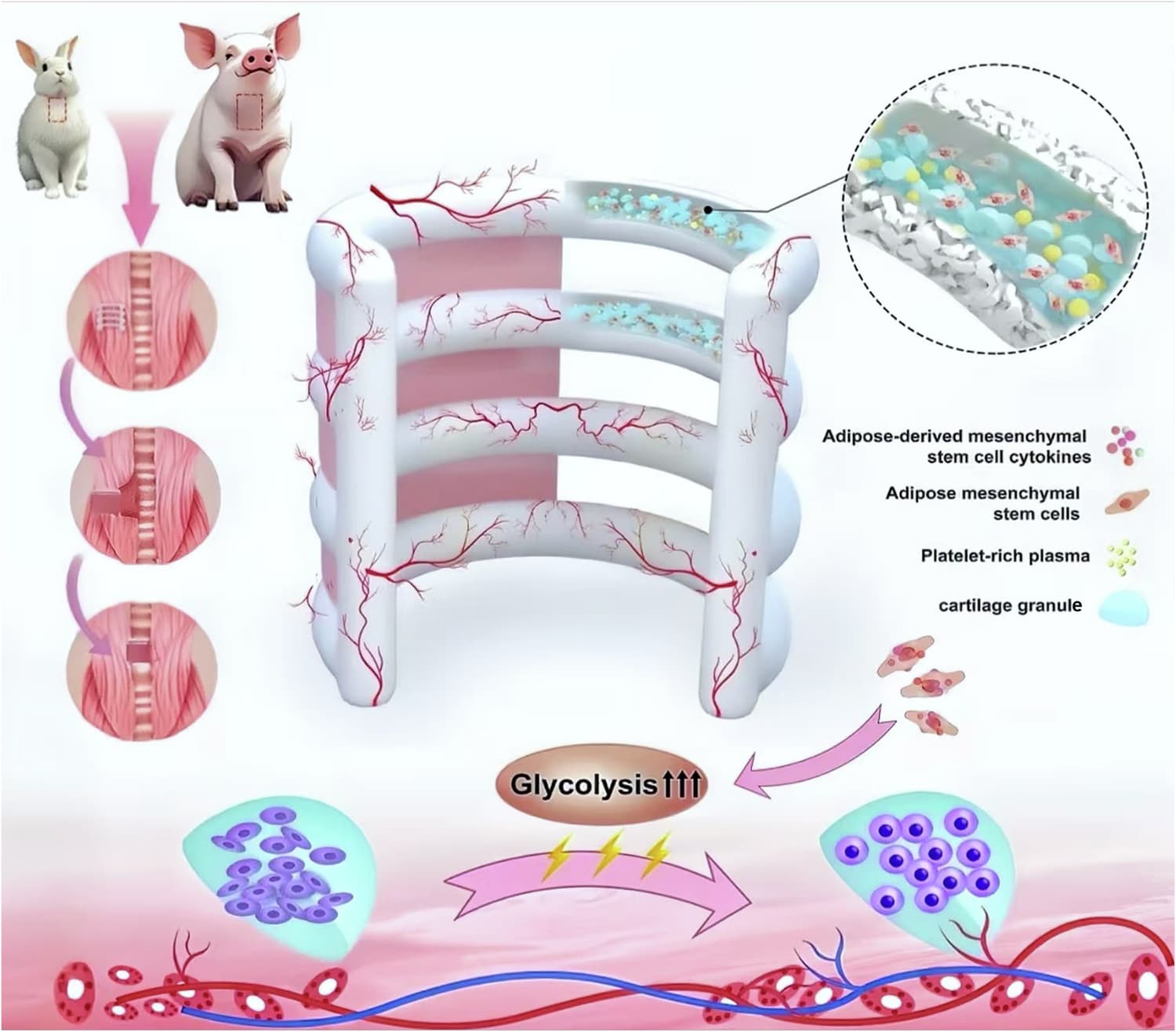 Figure 1 from Nature Communications