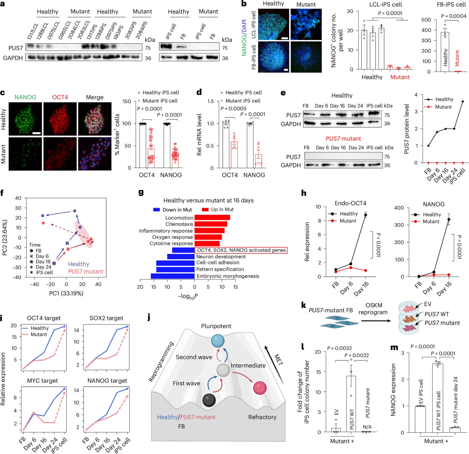 Figure 1 from Nature Chemical Biology