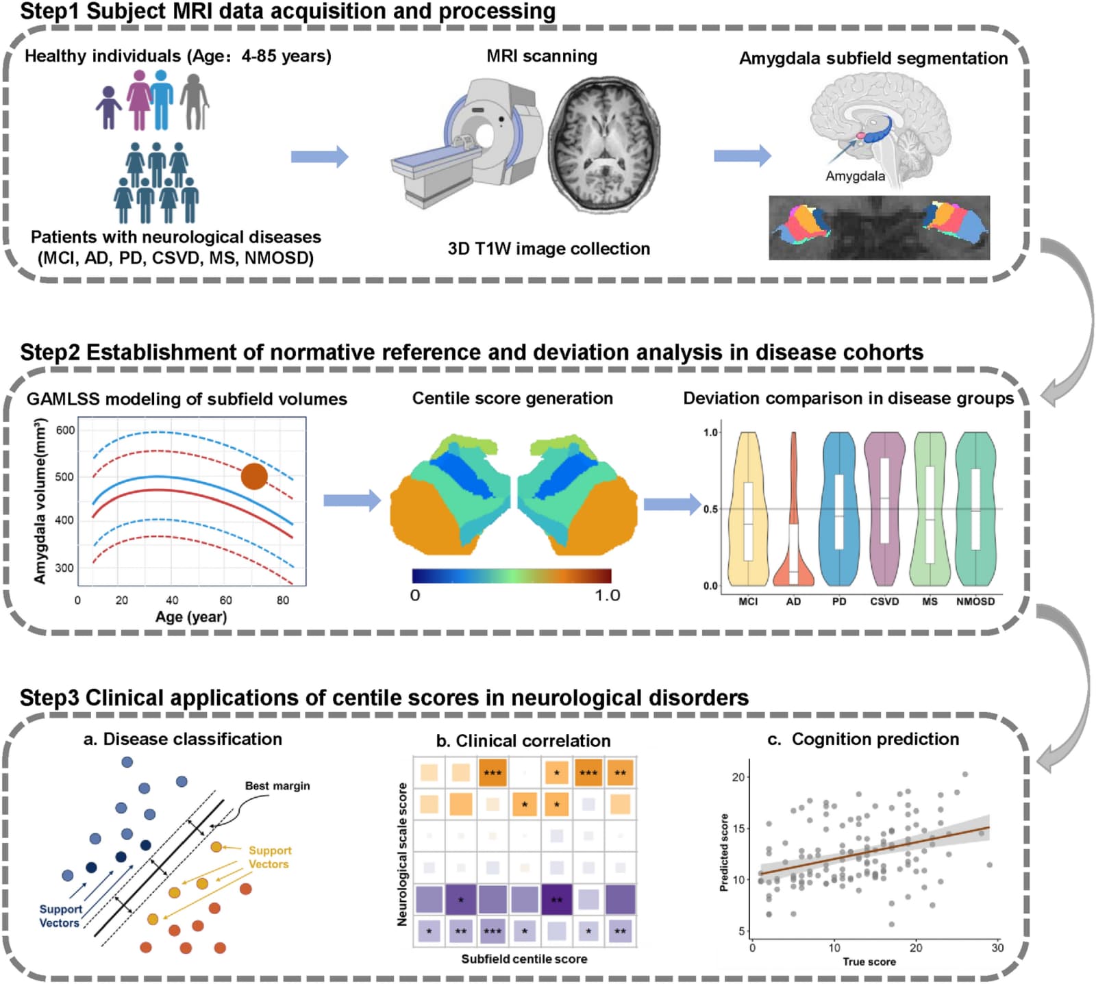 Figure 1 from Neuroscience Bulletin