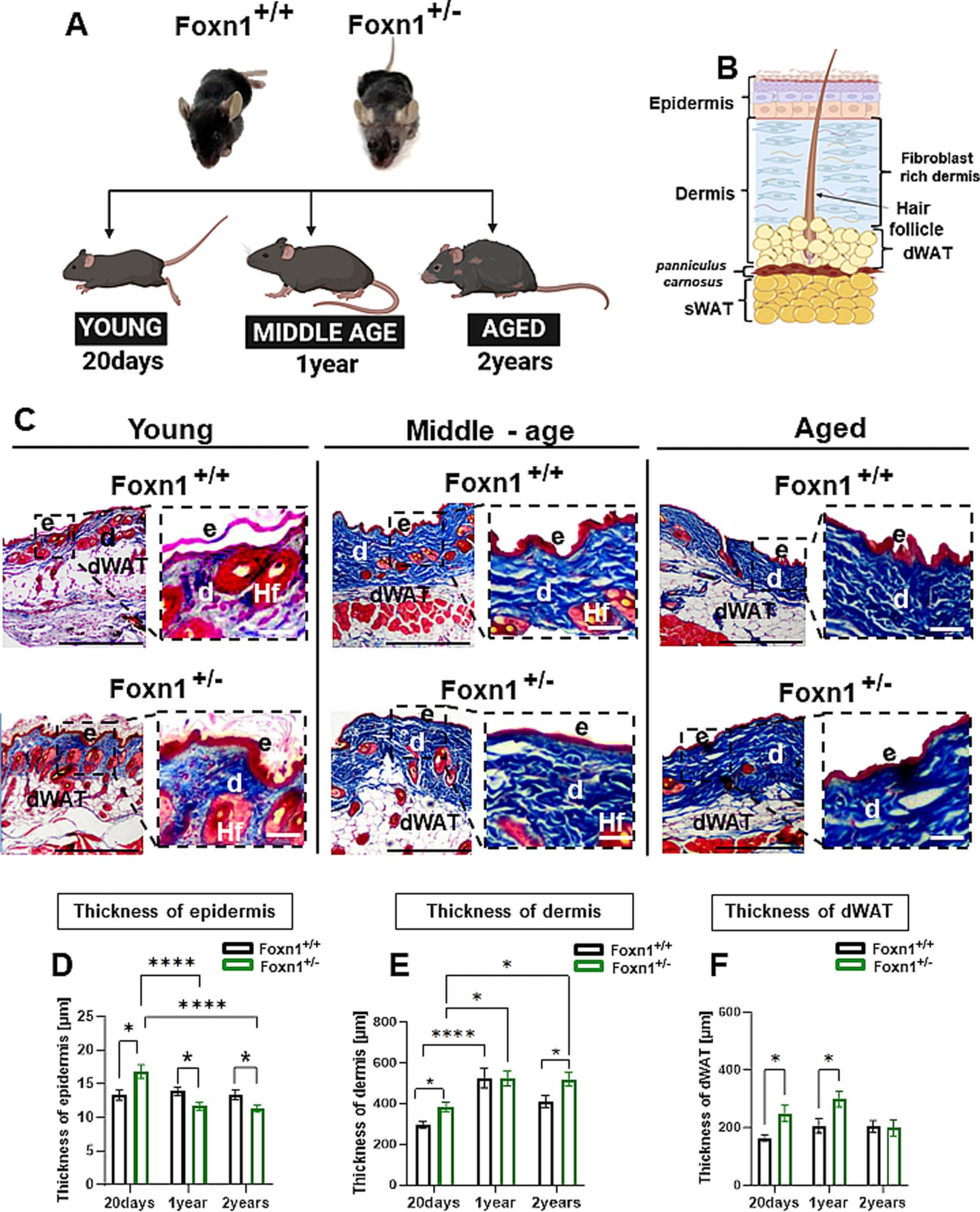 Figure 1 from BMC Biology