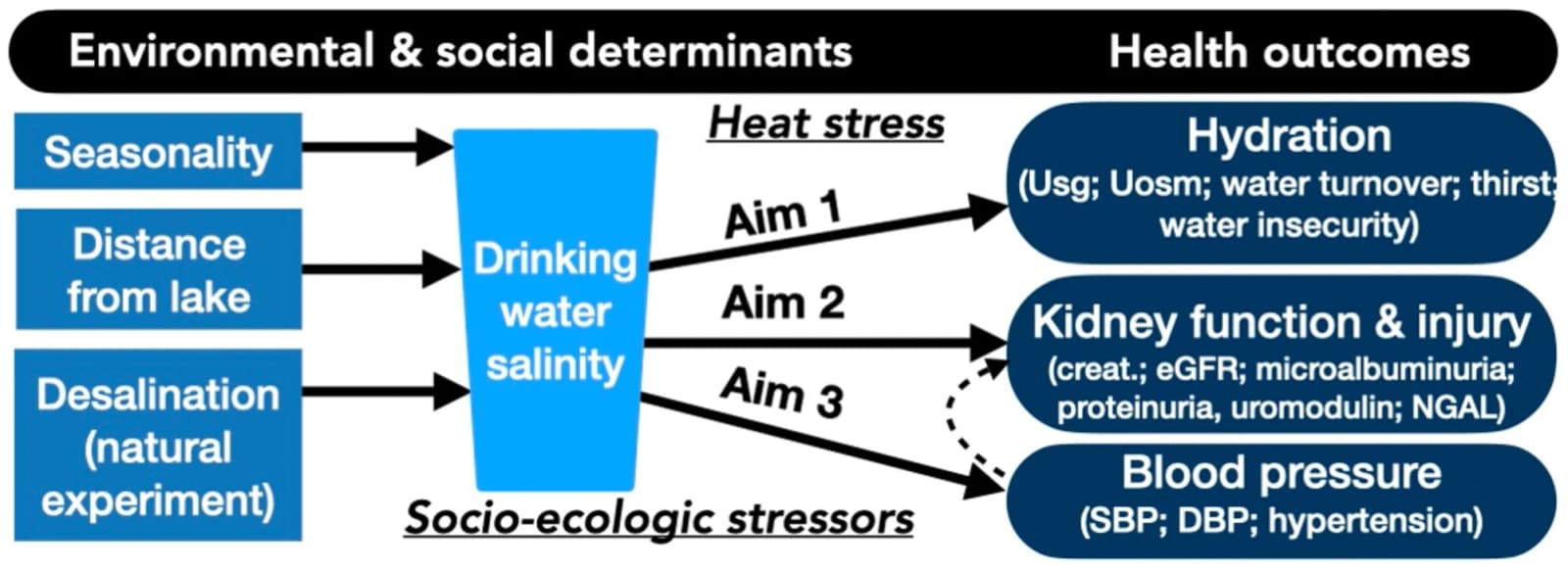 Figure 1 from American Journal of Human Biology