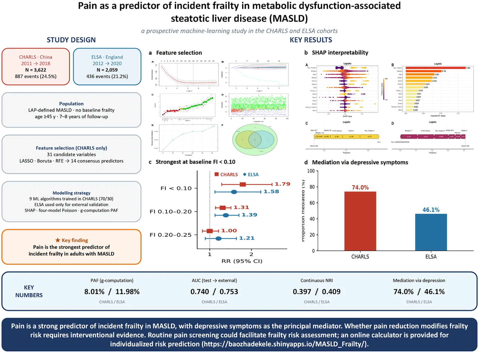 Graphical abstract from Frontiers in Endocrinology