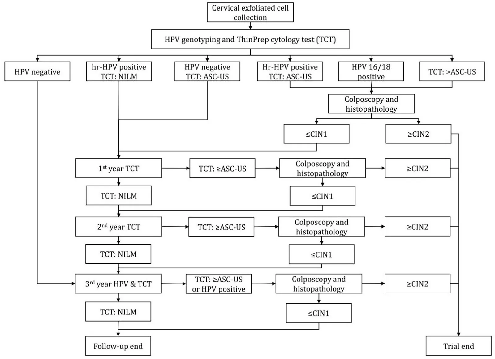 Figure 1. Process of cervical cancer screening.