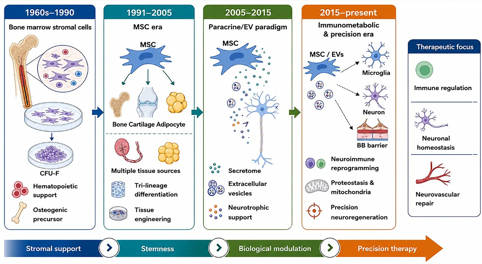 Figure 1. Paradigm evolution of mesenchymal stromal cell (MSC) therapy in neurodegenerative diseases.