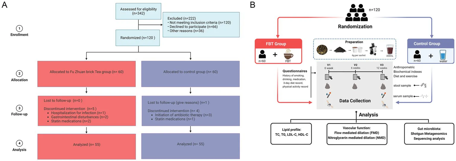 Figure 1. The CONSORT study flow diagram and study design.