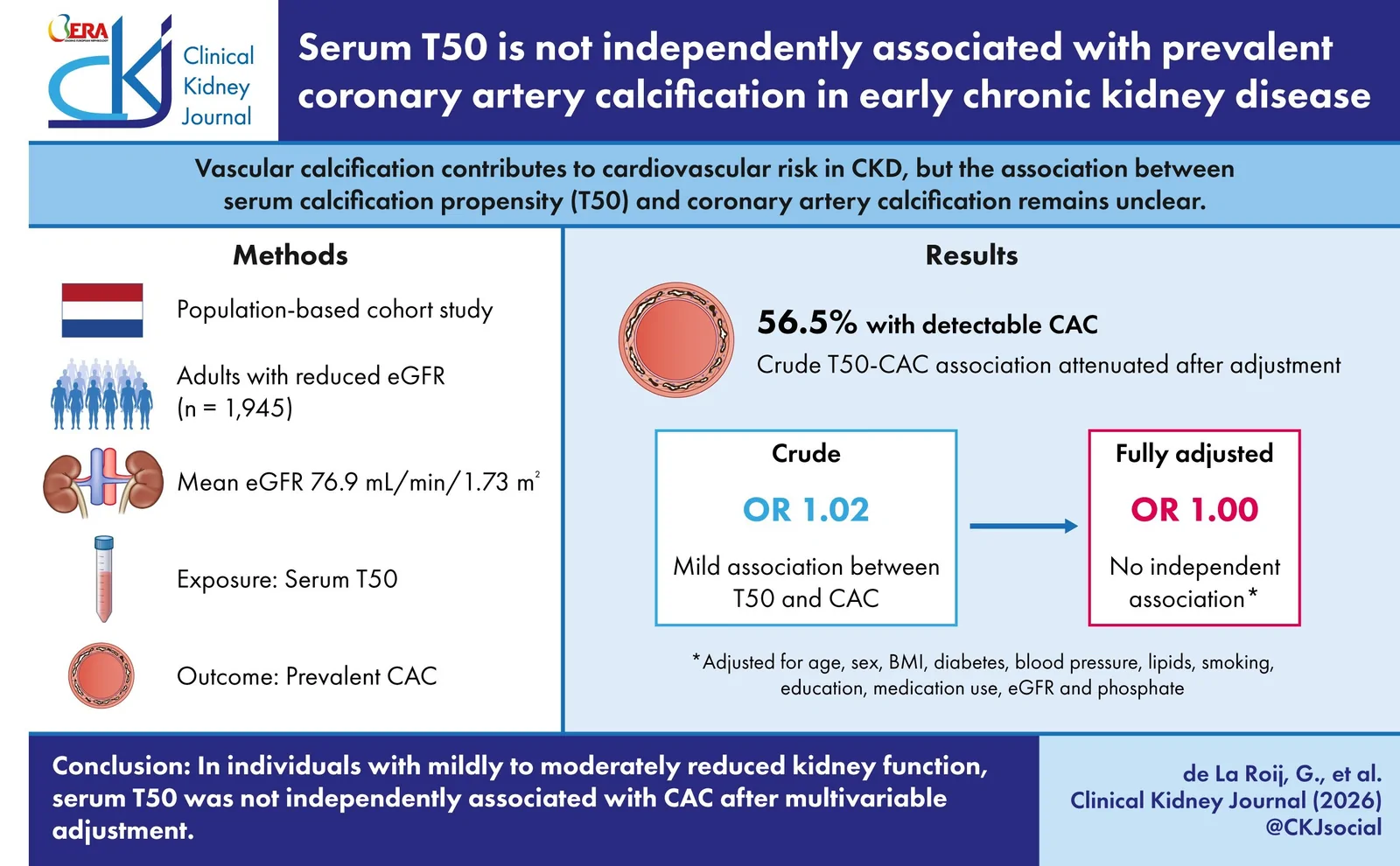 Graphical abstract from Clinical Kidney Journal