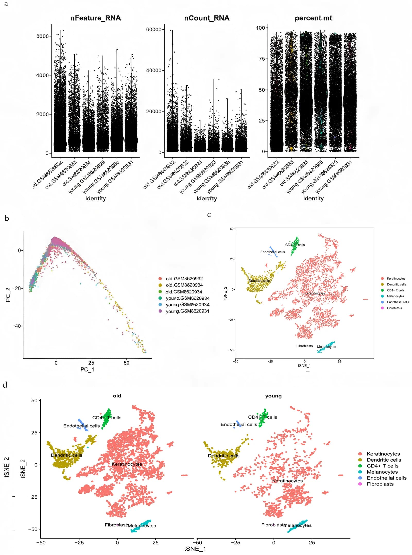 Figure 1. Quality control, dimensional reduction and cell clustering atlas of single-cell transcriptomic data from young and aged human skin (a) Violin plots illustrating three core single-cell quality…