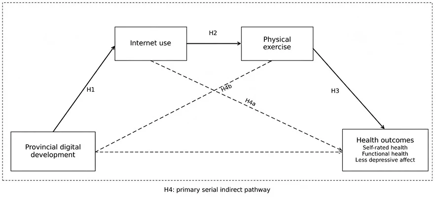 Figure 1. Theoretical model. The model depicts the primary serial indirect pathway linking provincial digital development, internet use, physical exercise, and the three health outcomes.