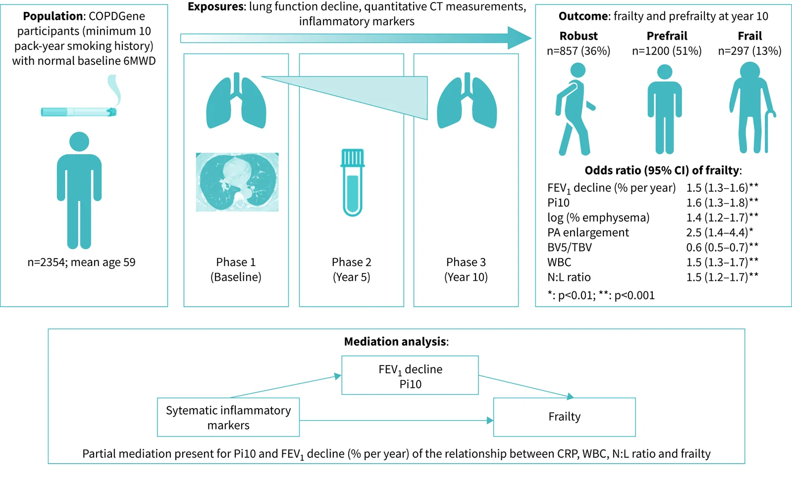 Graphical abstract. 6-min walk distance; BV5/TBV: the ratio of pulmonary blood volume in vessels with a cross-sectional area <5 mm2 to the total blood vessel volume; CRP: C-reactive protein; CT: computed tomography;…
