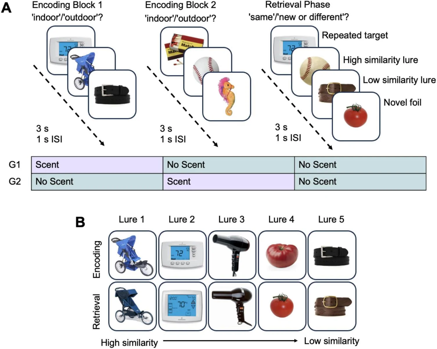 Figure 1. Mnemonic similarity task and study procedures across scent conditions.