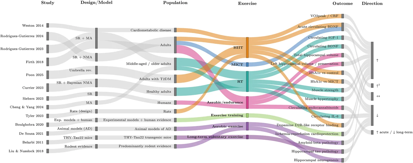 Figure 1. Exercise modality shapes distinct molecular, structural, and functional adaptations across human and preclinical evidence.