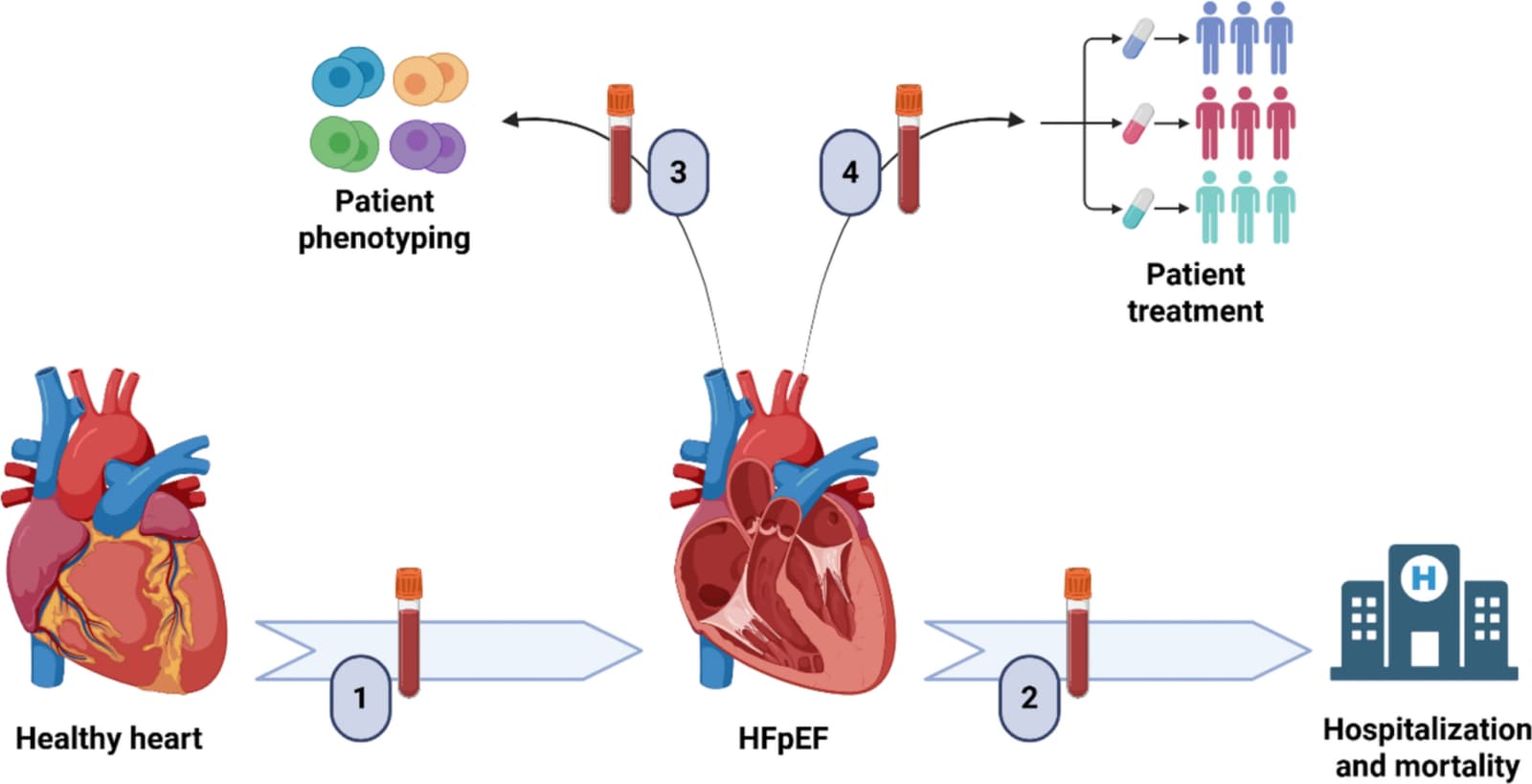 Figure 1 from Current Heart Failure Reports