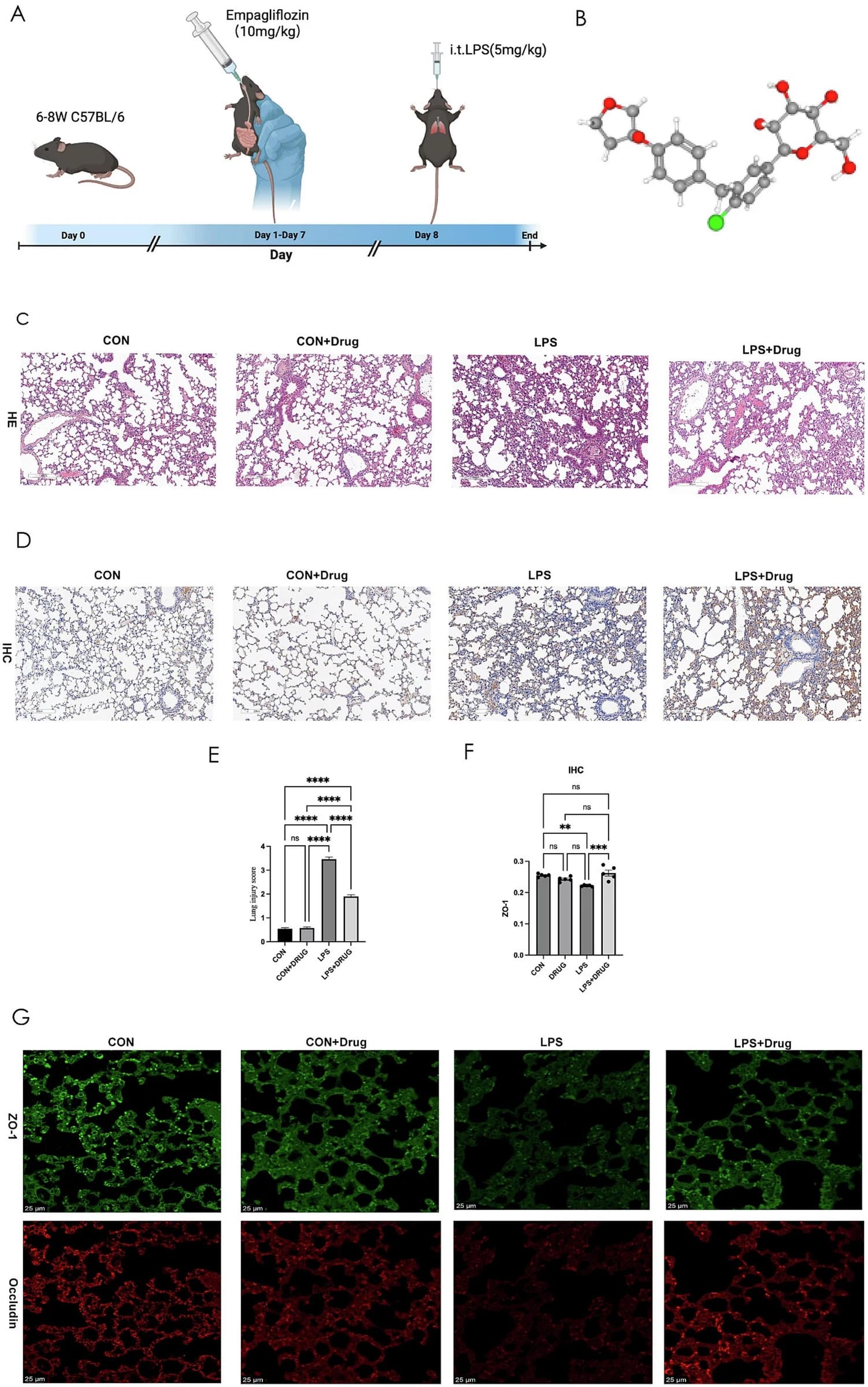 Figure 1 from International Immunopharmacology