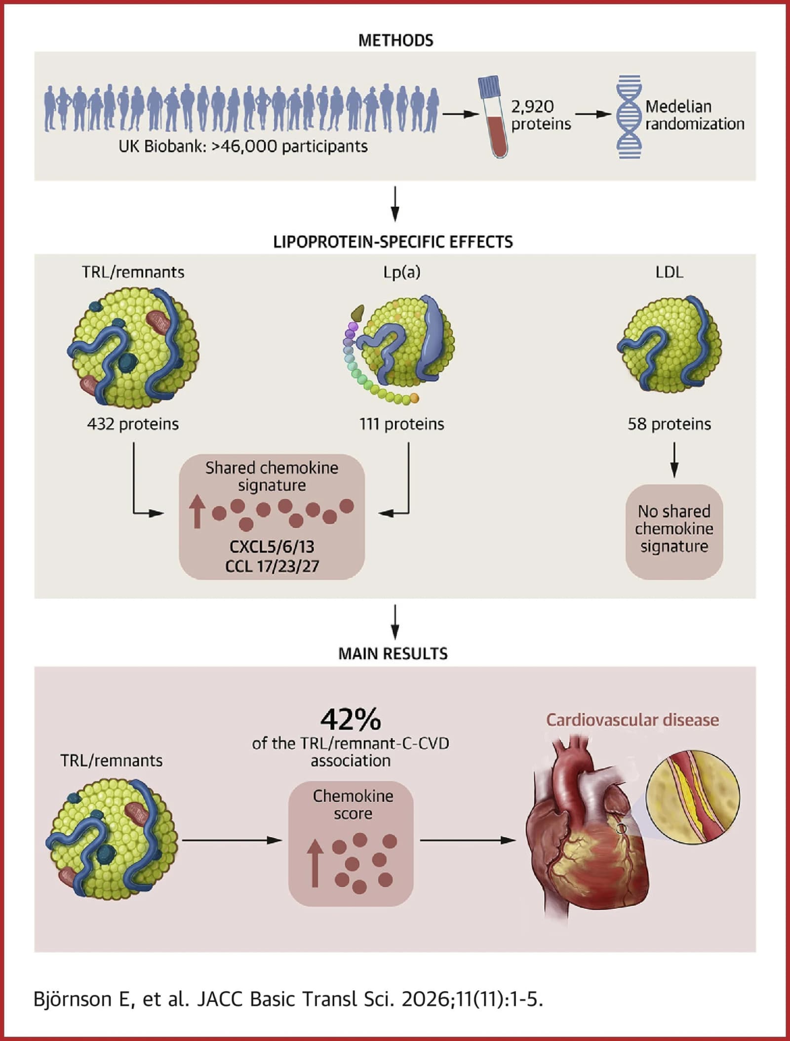 Graphical abstract from JACC Basic to Translational Science