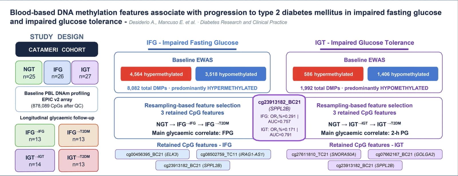 Graphical abstract from Diabetes Research and Clinical Practice