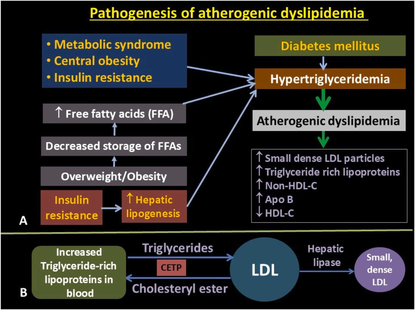 Figure 1 from Journal of Clinical Lipidology