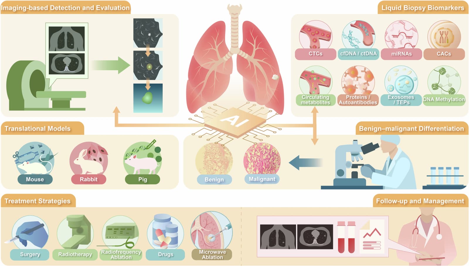 Figure 1 from Signal Transduction and Targeted Therapy