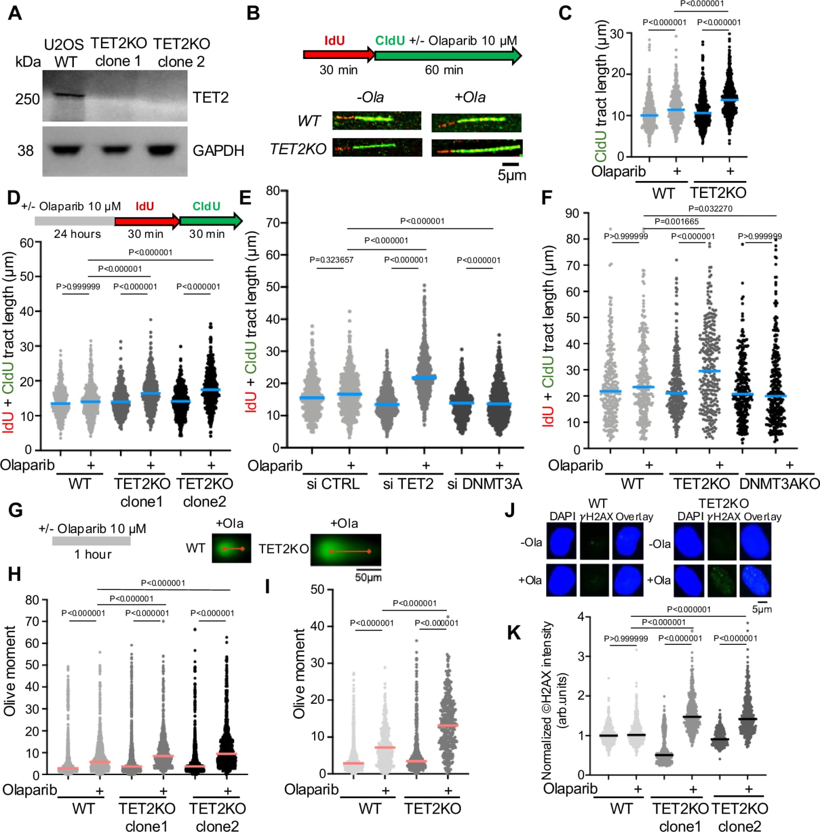 Figure 1 from Nature Communications