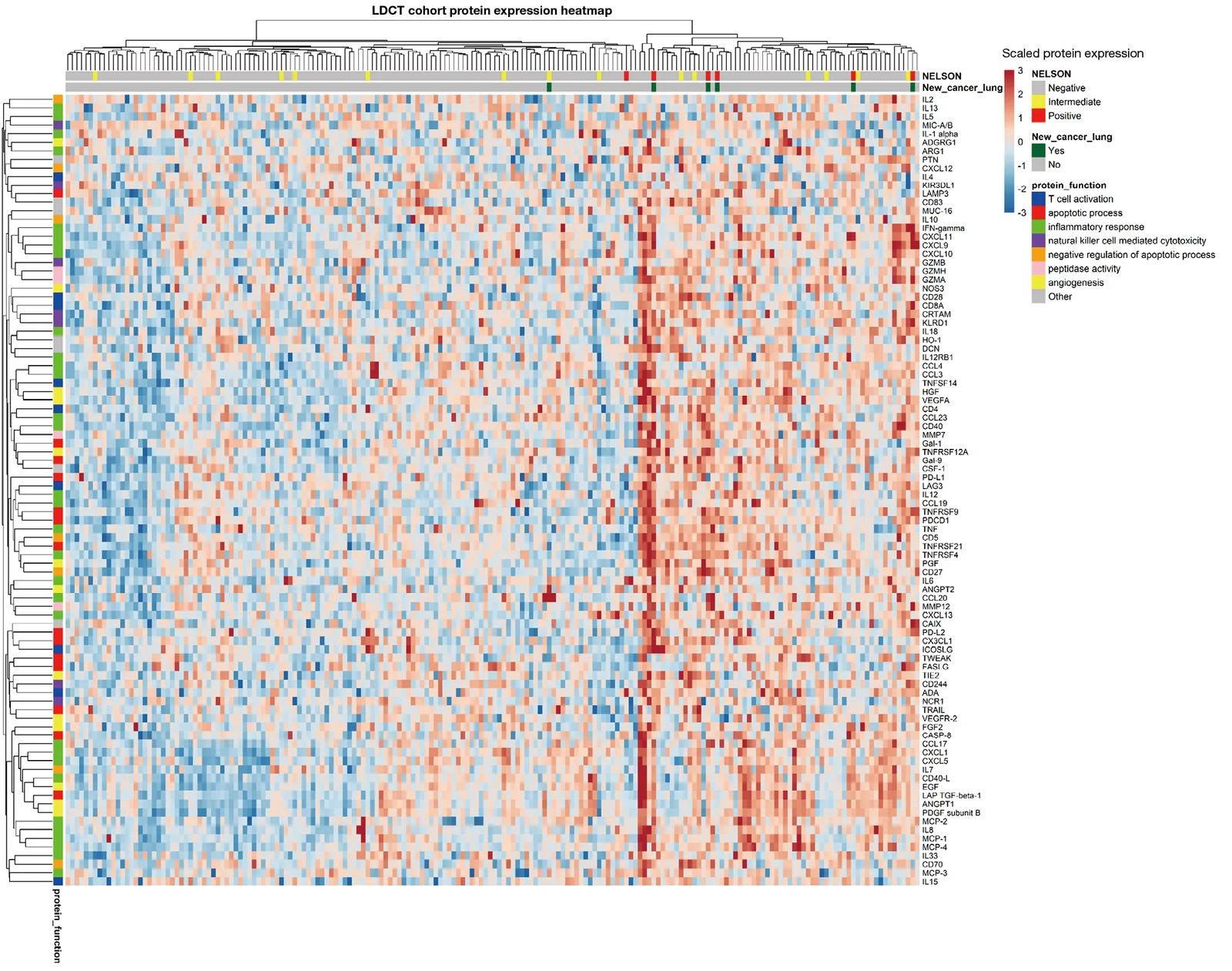 Figure 1. Plasma proteome of the LDCT cohort.